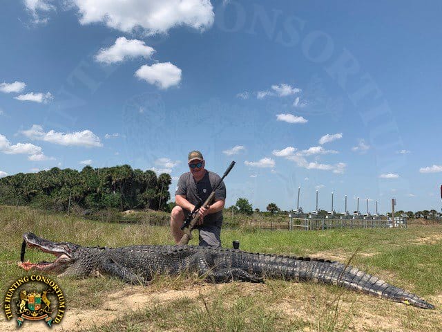 Alligator Hunting in Florida. Gator Hunting in Florida
