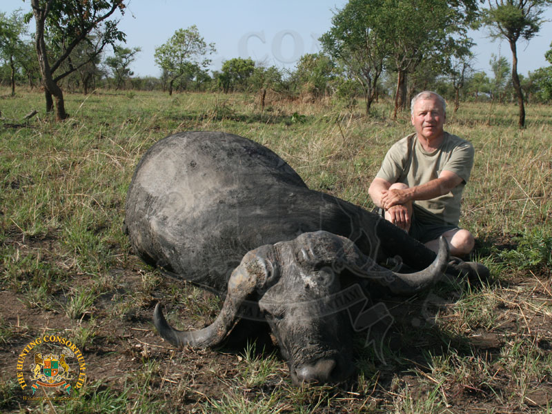 Hunting Nile Buffalo in Uganda. Hunting in Uganda