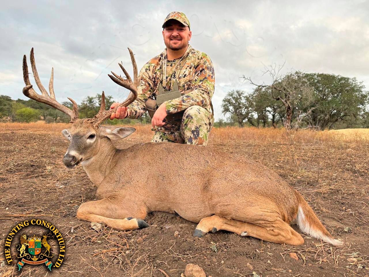 Hunting White-Tailed Deer Hunting in Texas