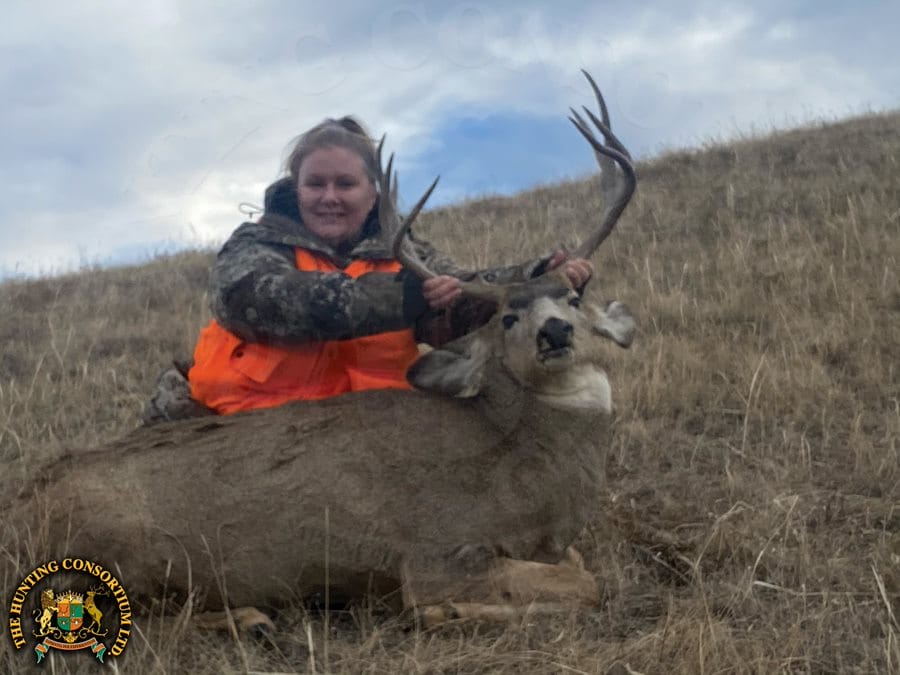 Hunting in Montana Mule Deer Hunts in Montana Mule Deer Hunting