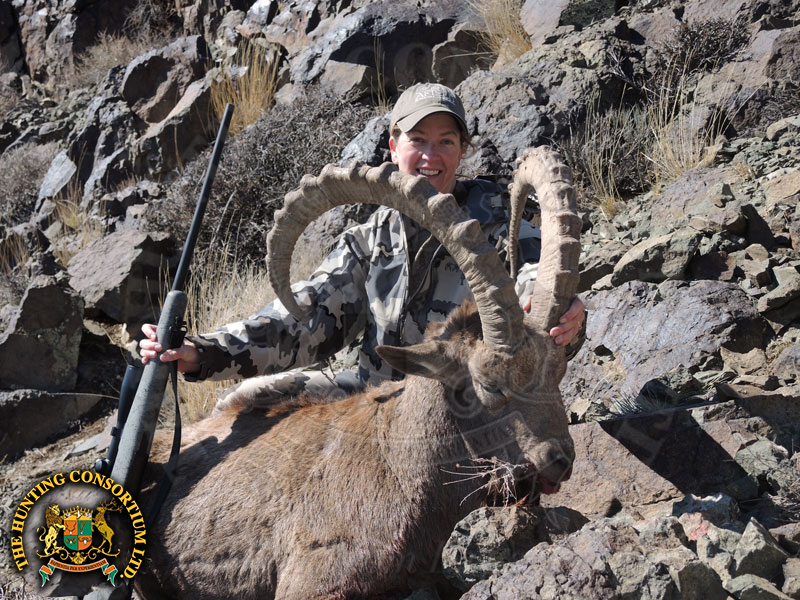 Mid-Asian ibex hunting in Kazakhstan ibex hunting Mid-Asian Ibex Hunts
