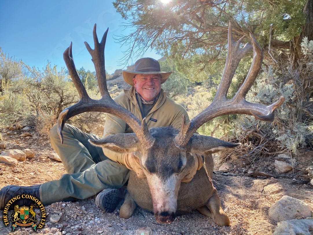 Mule Deer Hunting in North America. Mule Deer Hunts in Utah.