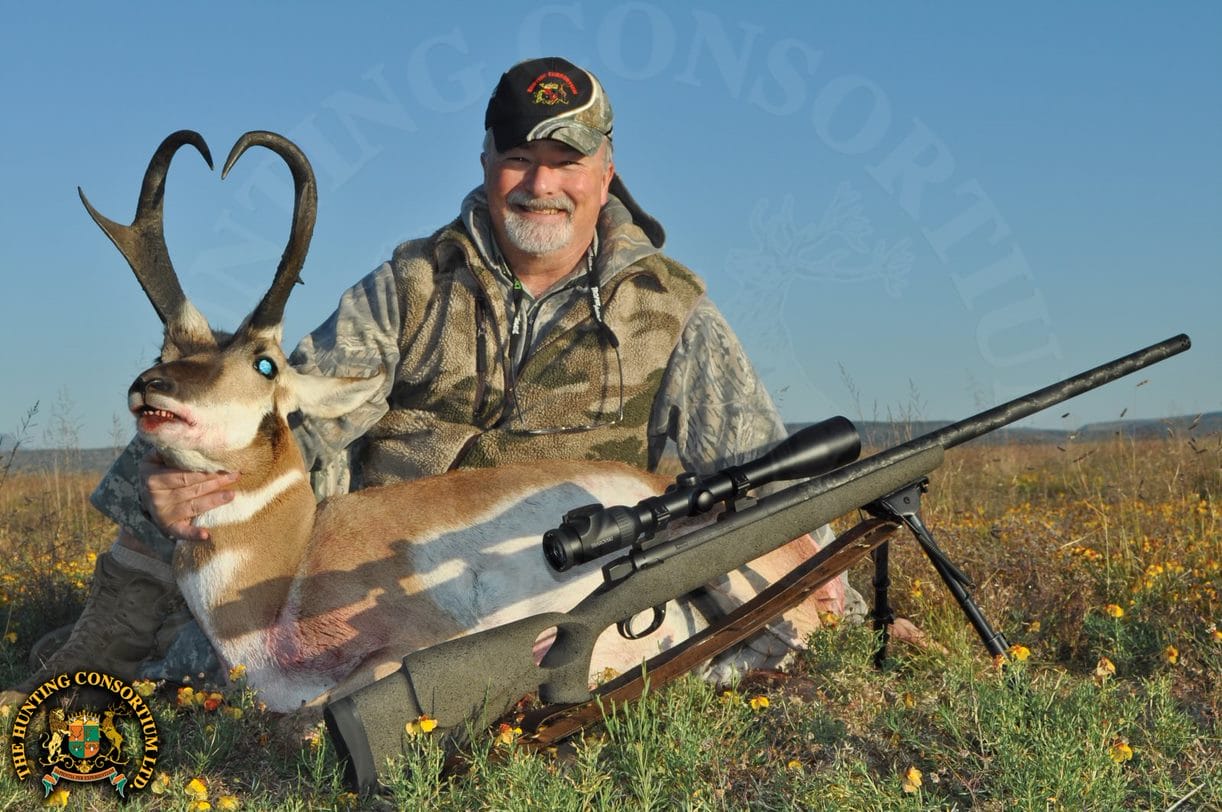 Pronghorn Hunting in New Mexico