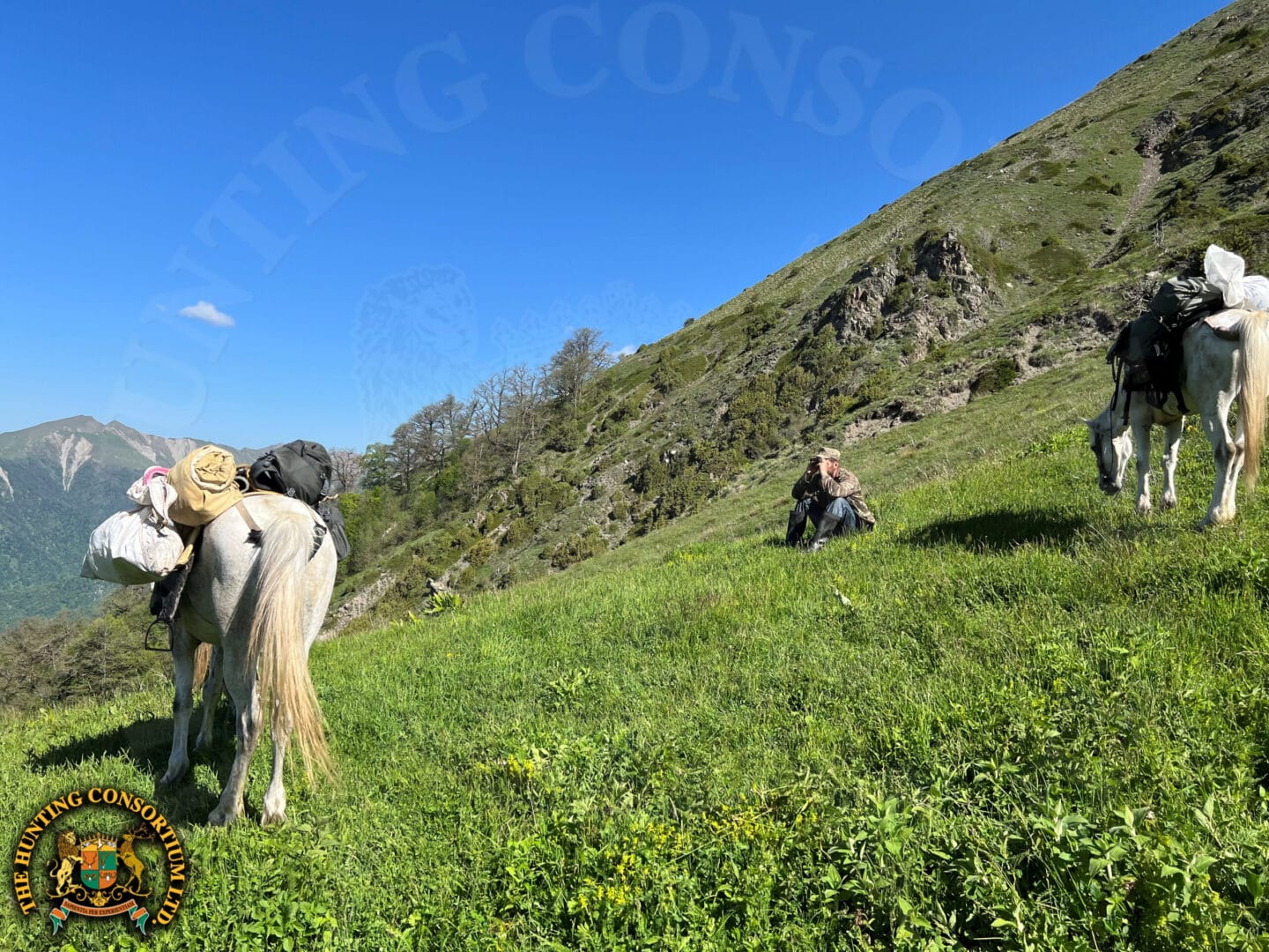 Tur Hunts can be very physical, with horses being used to get up the mountain, but then on foot from there.