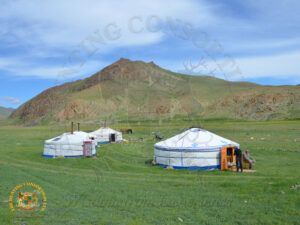 Gers at Altai Argali Hunting camp during Altai Argali Hunting trip in Mongolia. 