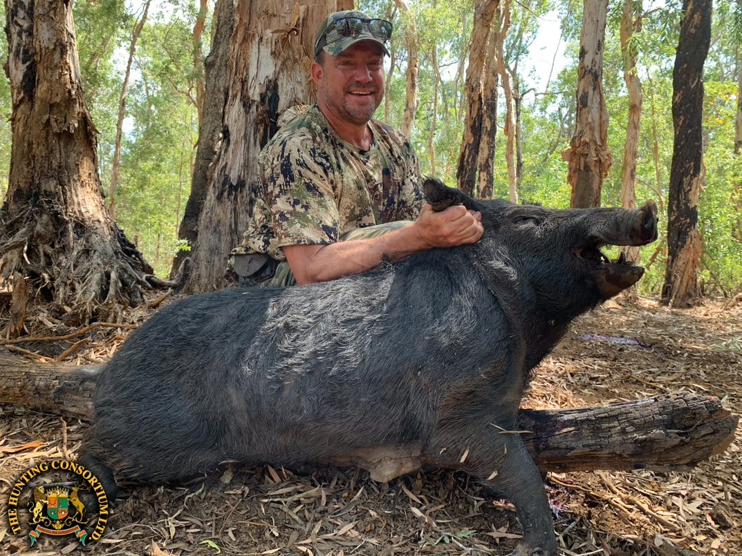 Feral Boar Hunting in Australia
