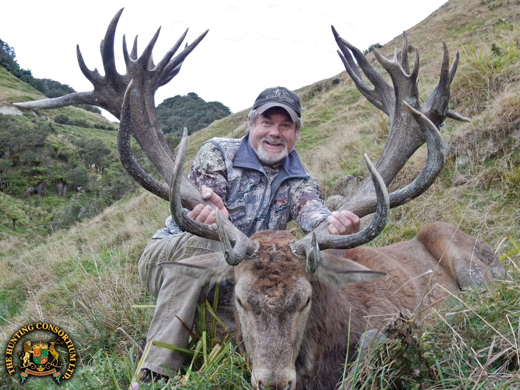 Red Stag Hunting in New Zealand. South Pacific Hunting