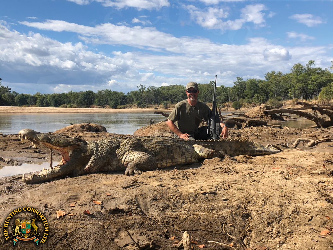 Crocodile Safari in Zambia. Crocodile Hunting in Zambia