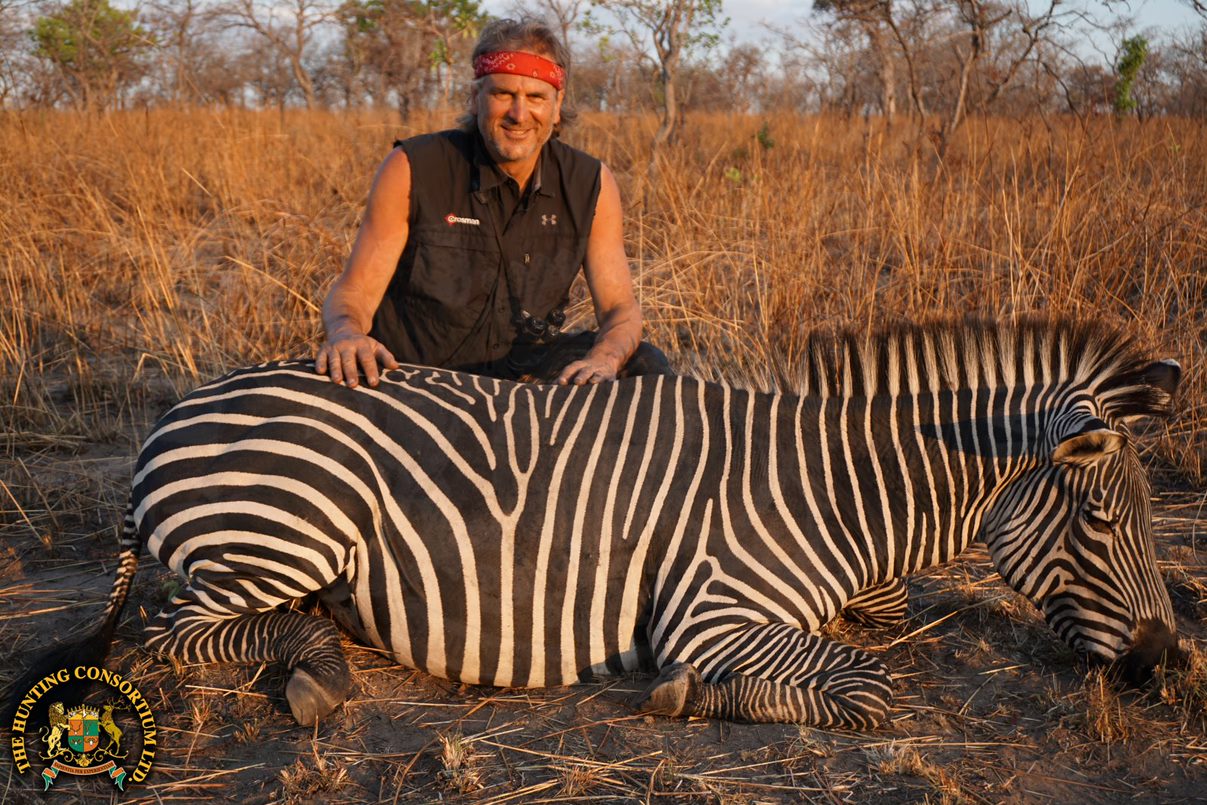 Our client, Jim Shockey with his Zebra. Zebra hunting in Africa. Zebra hunts in Africa.