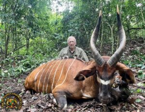 Bongo Hunting in Cameroon Hunting Bongo Hunts in Cameroon