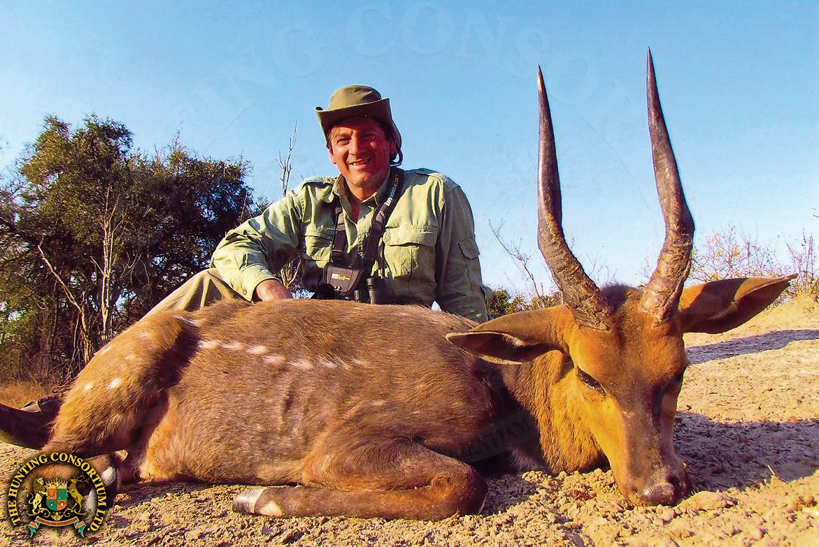 Chobe Bushbuck Hunting in Zambia Bush Buck hunts in Africa