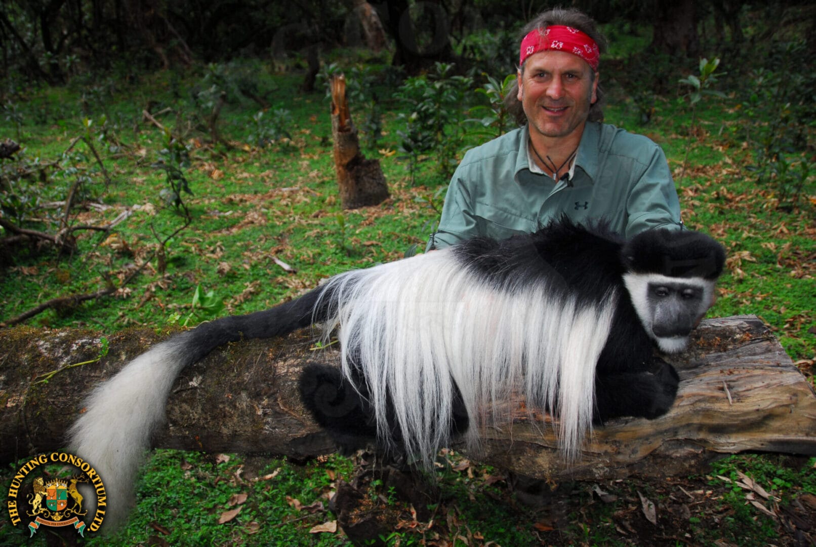 Jim Shockey Colubus Monkey Hunting in Ethiopia. Colubus Monkey Hunts in Africa. Monkey Hunting in Ethiopia. Monkey hunting in Africa. Monkey hunts in africa