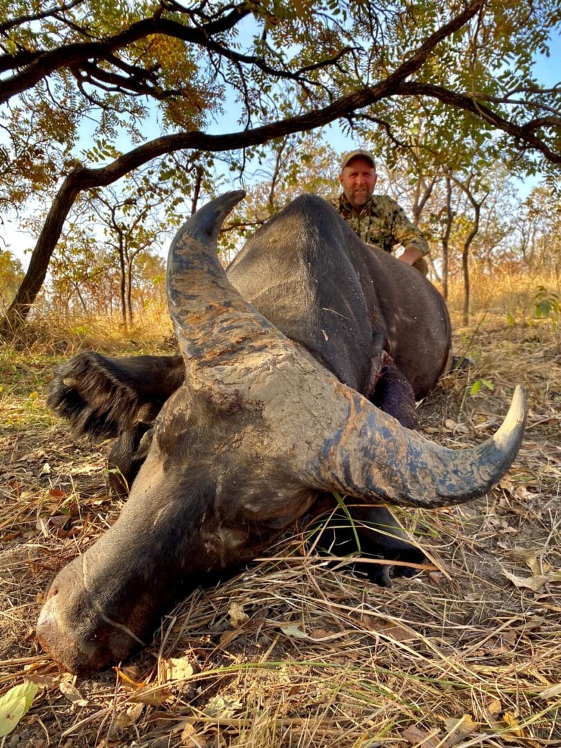 Blye Chadwick with his West African Savanna Buffalo, hunted with Hunting Consortium