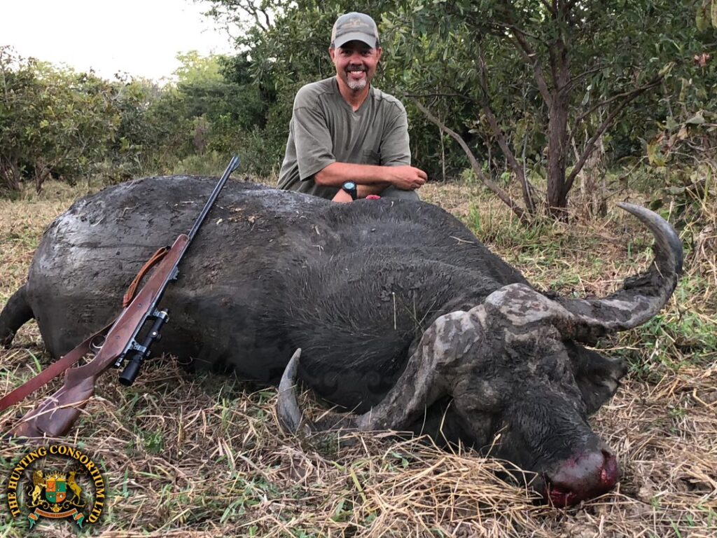 Photo of 43 inch Buffalo Hunting in Zambia. Buffalo Safari in Africa