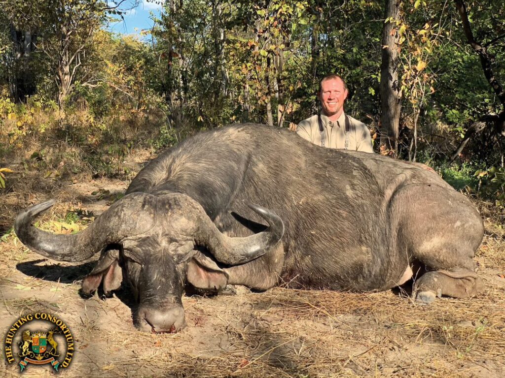 Photo of 47 Inch Cape Buffalo while on Buffalo Safari in Zambia. Buffalo hunting