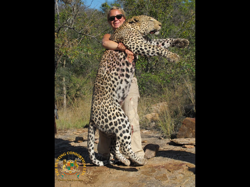 African Leopard Hunt in Tanzania