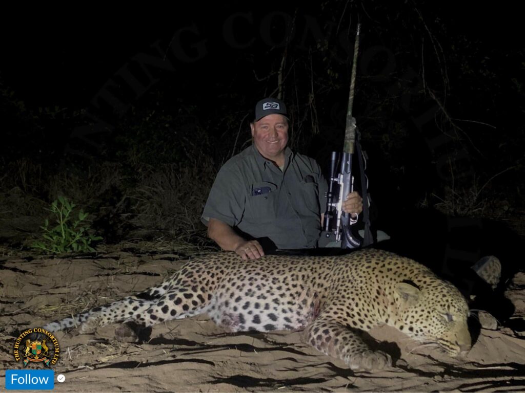 African Leopard Hunting Best Leopard Hunting in Zimbabwe.