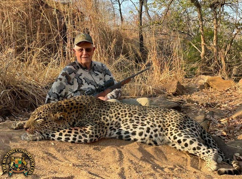 African Leopard Hunting Zimbabwe
