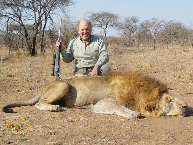African Lion Hunting in Africa. The best African Lion Hunts in Africa.