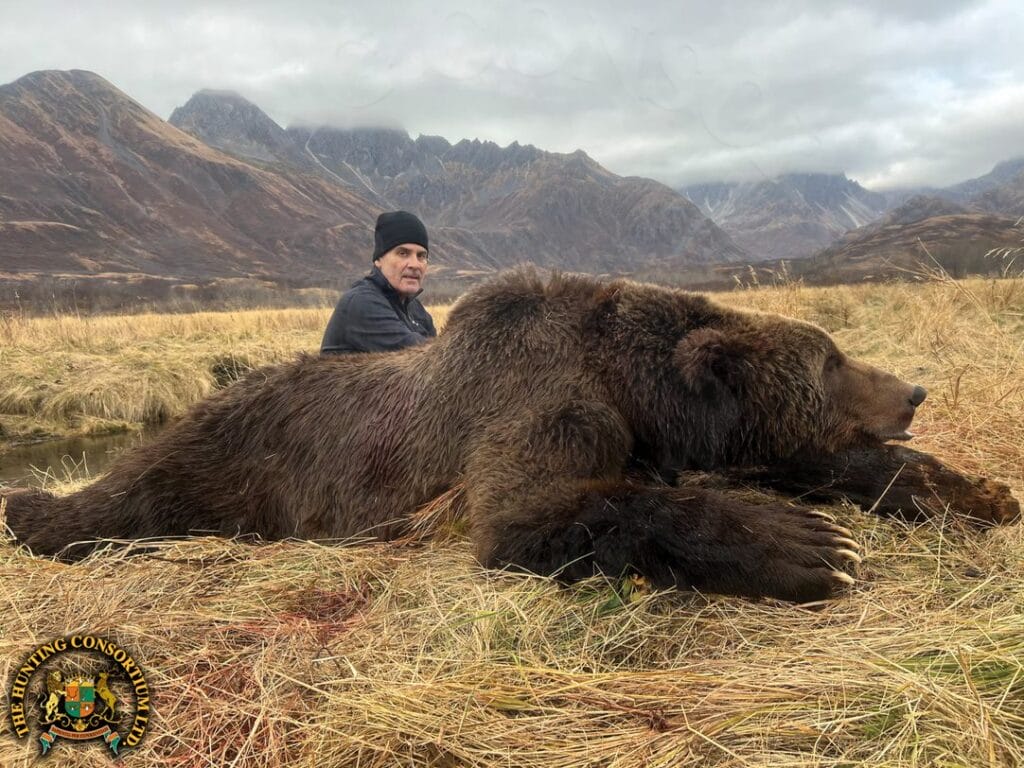 Alaska Brown Bear Hunting in North America