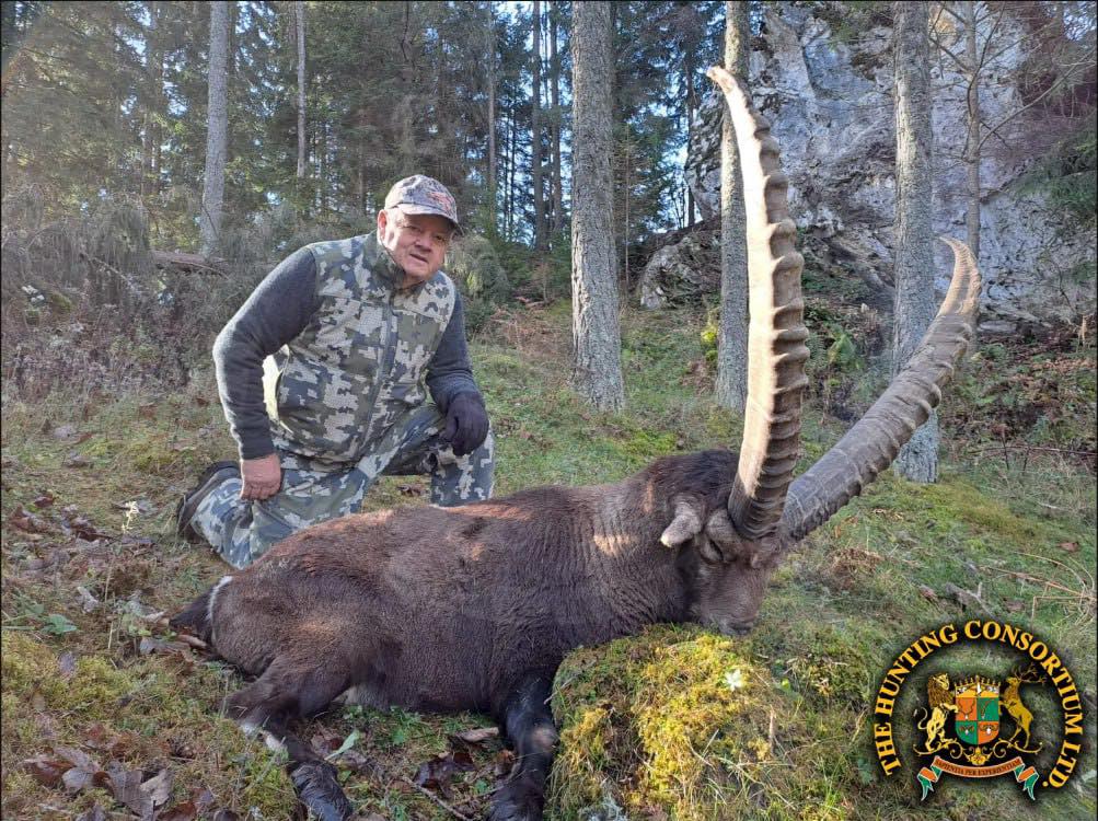 Alpine Ibex Hunting in Austria