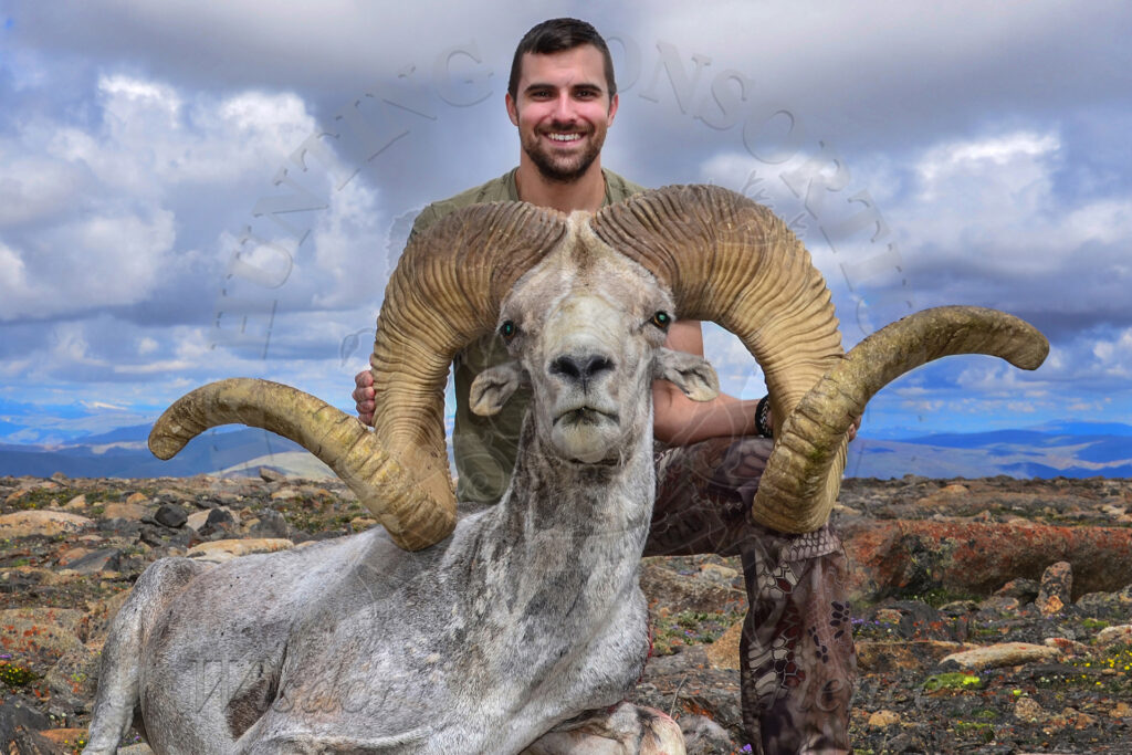 Altai Argali Hunting in Mongolia. This Altai Argali Ram is 62.5 inches. The largest Altai Argali taken in recent years.