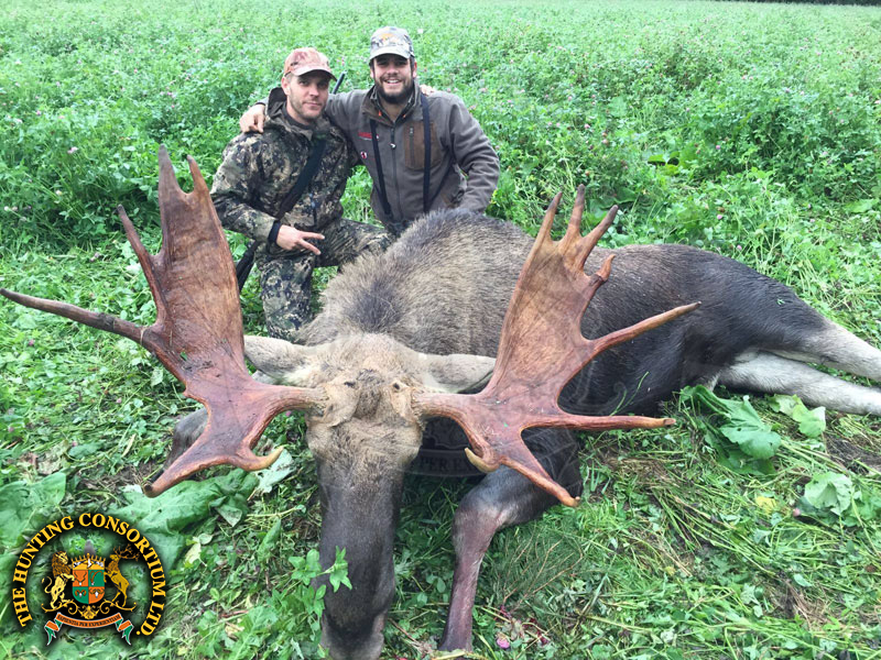 Moose Hunting in Estonia Hunts Moose Hunts in Estonia Hunt