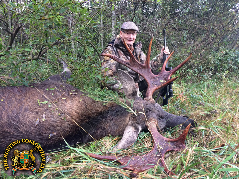 Moose Hunting in Estonia Hunts Moose Hunts in Estonia Hunt