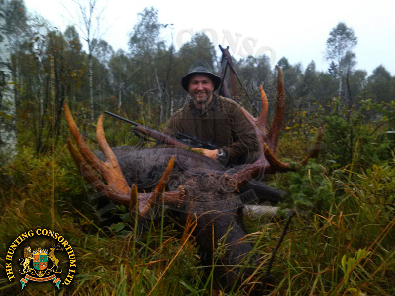 Moose Hunting in Estonia Hunts Moose Hunts in Estonia Hunt