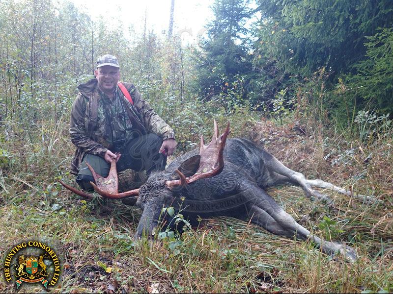 Moose Hunting in Estonia Hunts Moose Hunts in Estonia Hunt