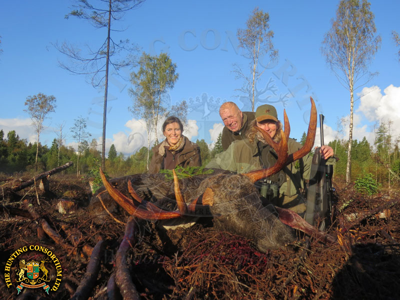 Moose Hunting in Estonia Hunts Moose Hunts in Estonia Hunt