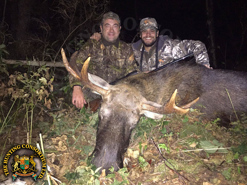 Moose Hunting in Estonia Hunts Moose Hunts in Estonia Hunt