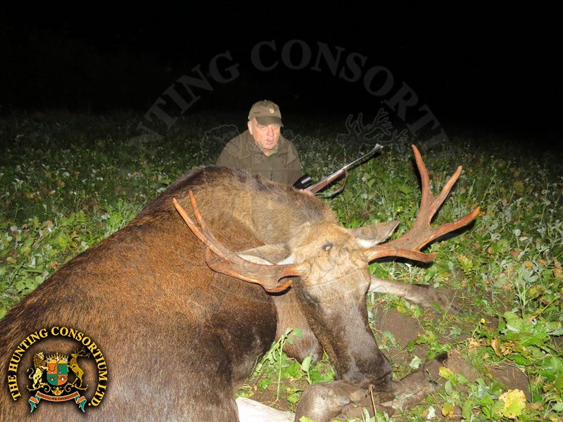 Moose Hunting in Estonia Hunts Moose Hunts in Estonia Hunt