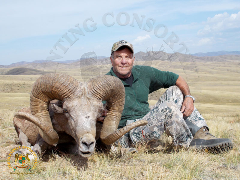 Best Gobi Argali Hunting in Mongolia.