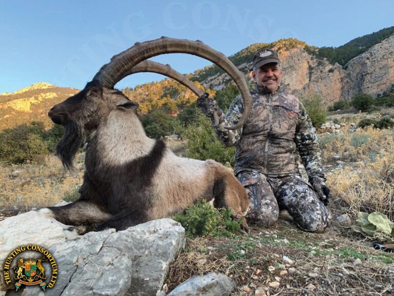 50 inch Bezoar Ibex Hunting in Turkey, taken by Gordon Wollman. Bezoar Ibex Hunting in Turkey. Ibex hunts in turkey