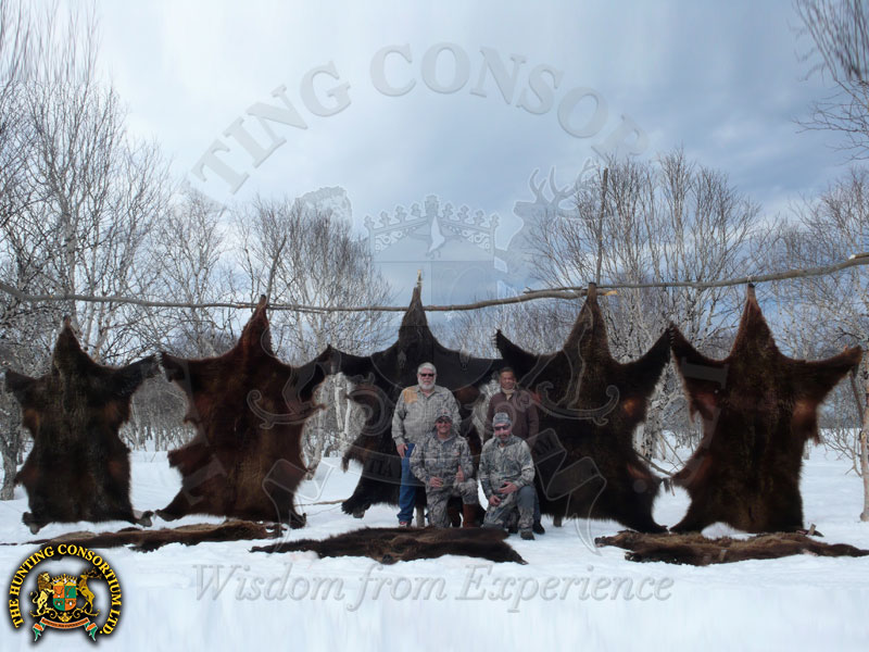 Kamchatka Brown Bear Hunting in Russia Russian Brown Bear Hunting