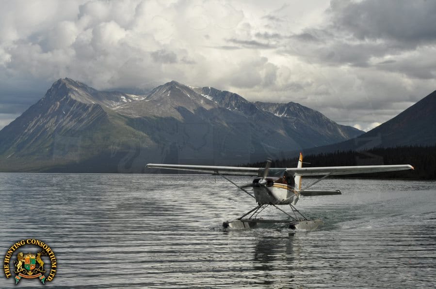 Canadian Hunts in Canada. Hunting in Canada