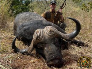 Cape Buffalo Hunting in Zimbabwe. The Best Cape Buffalo Hunting in Zimbabwe