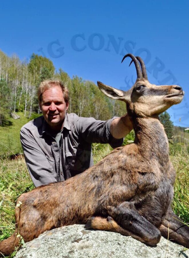 Caucasian Chamois Hunting in Russia
