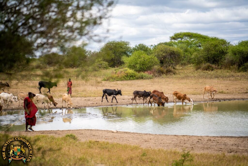 Due to exploding human populations, wild areas are decreasing. Hunting is a driving force in keeping wild areas free of human population encroachment.