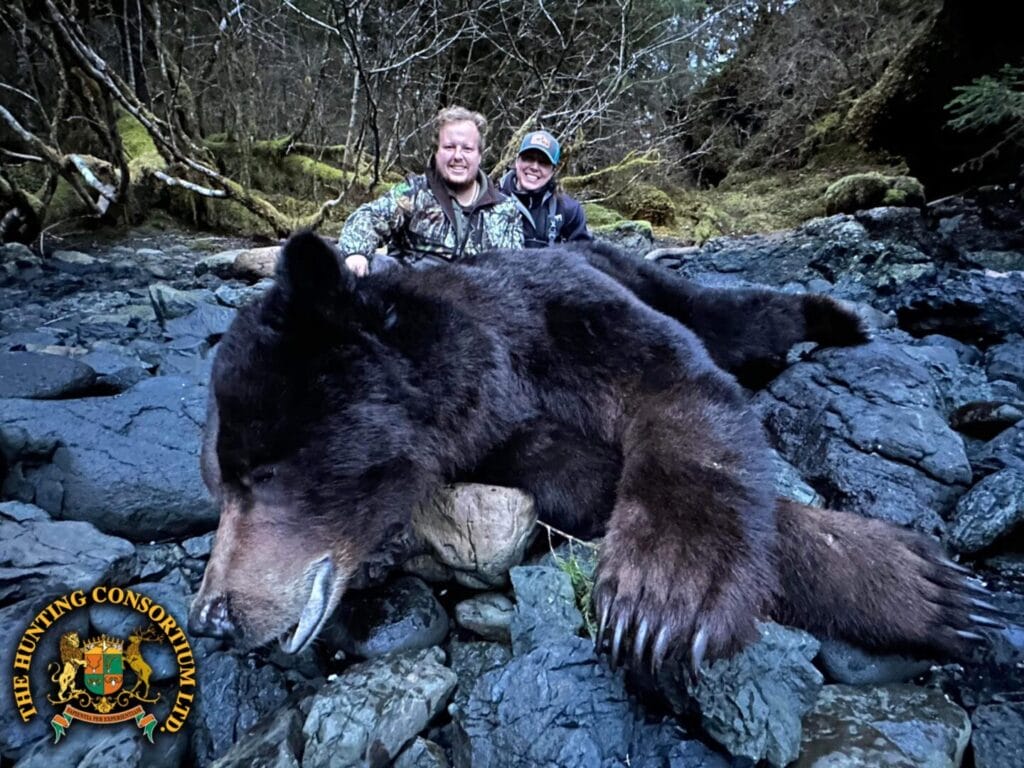 Alaska Coastal Brown Bear hunting in Alaska Coastal Brown Bear Hunts