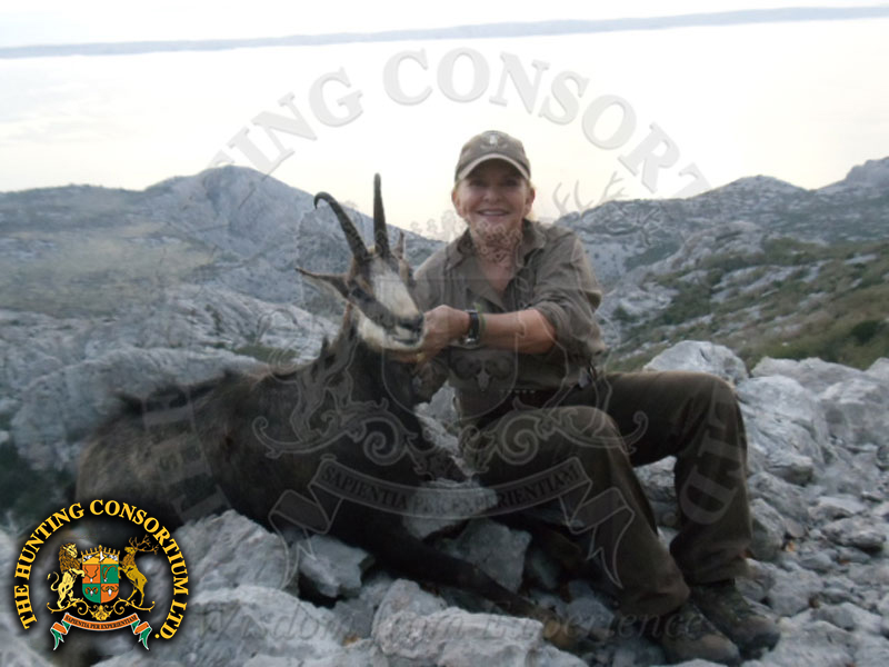 Balkan Chamois Hunting in Croatia.