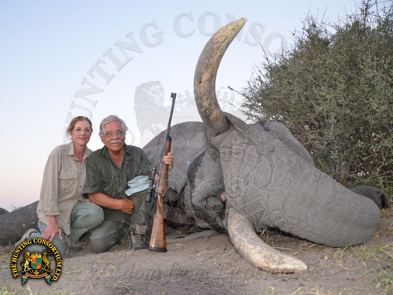 Hunting in Botswana. Hunting Elephant in Botswana.
