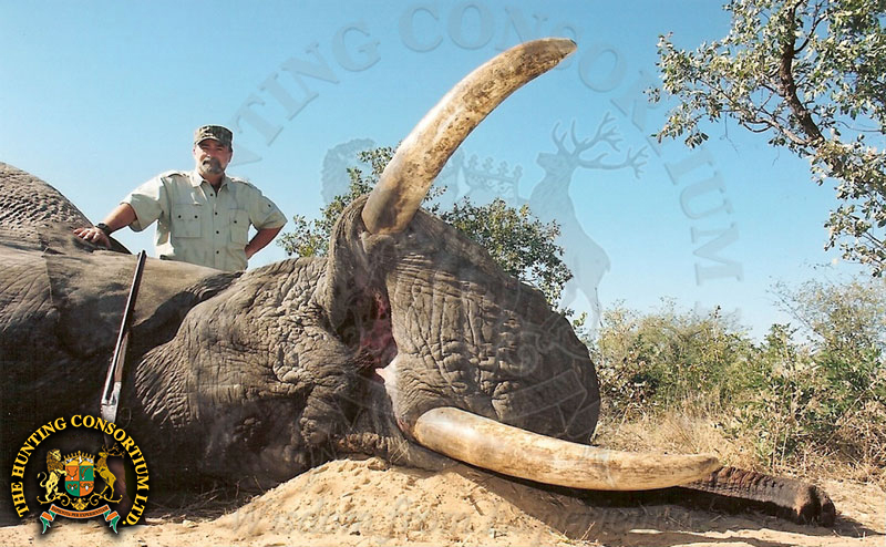 Hunting in Botswana. Hunting Elephant in Botswana.