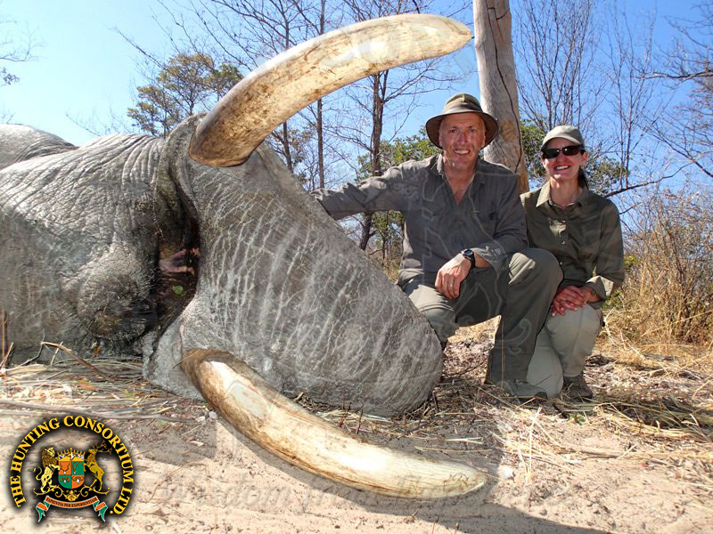 Hunting in Botswana. Hunting Elephant in Botswana.