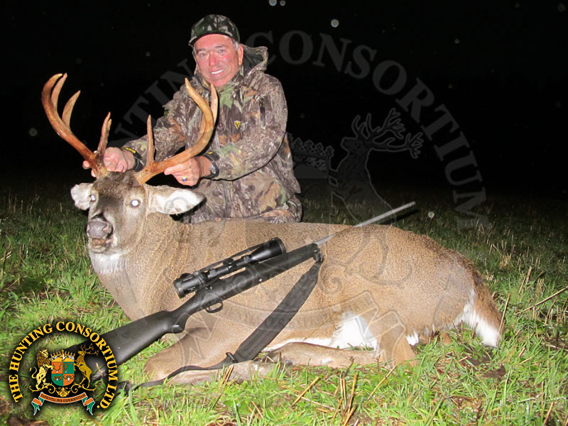 White-tailed Deer hunting in Finland Deer Hunts in Finland