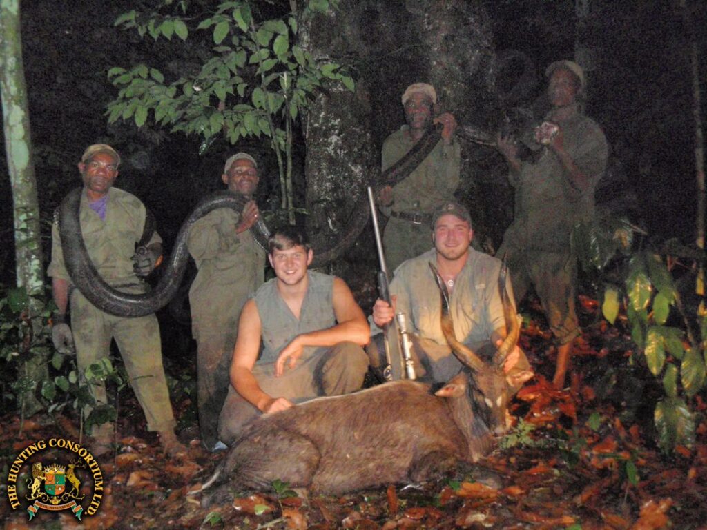 Forest Sitatunga Hunting in Cameroon