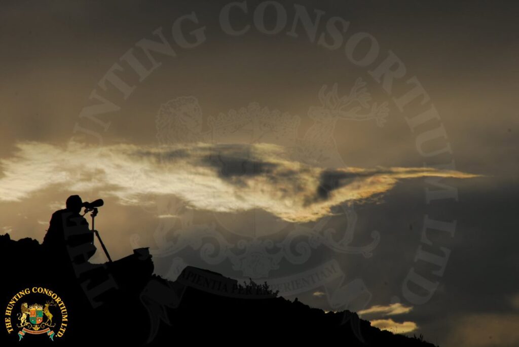 Glassing for Sheep while Hunting in Asia during Asian hunts for argali hunting in Mongolia with Hunting Consortium