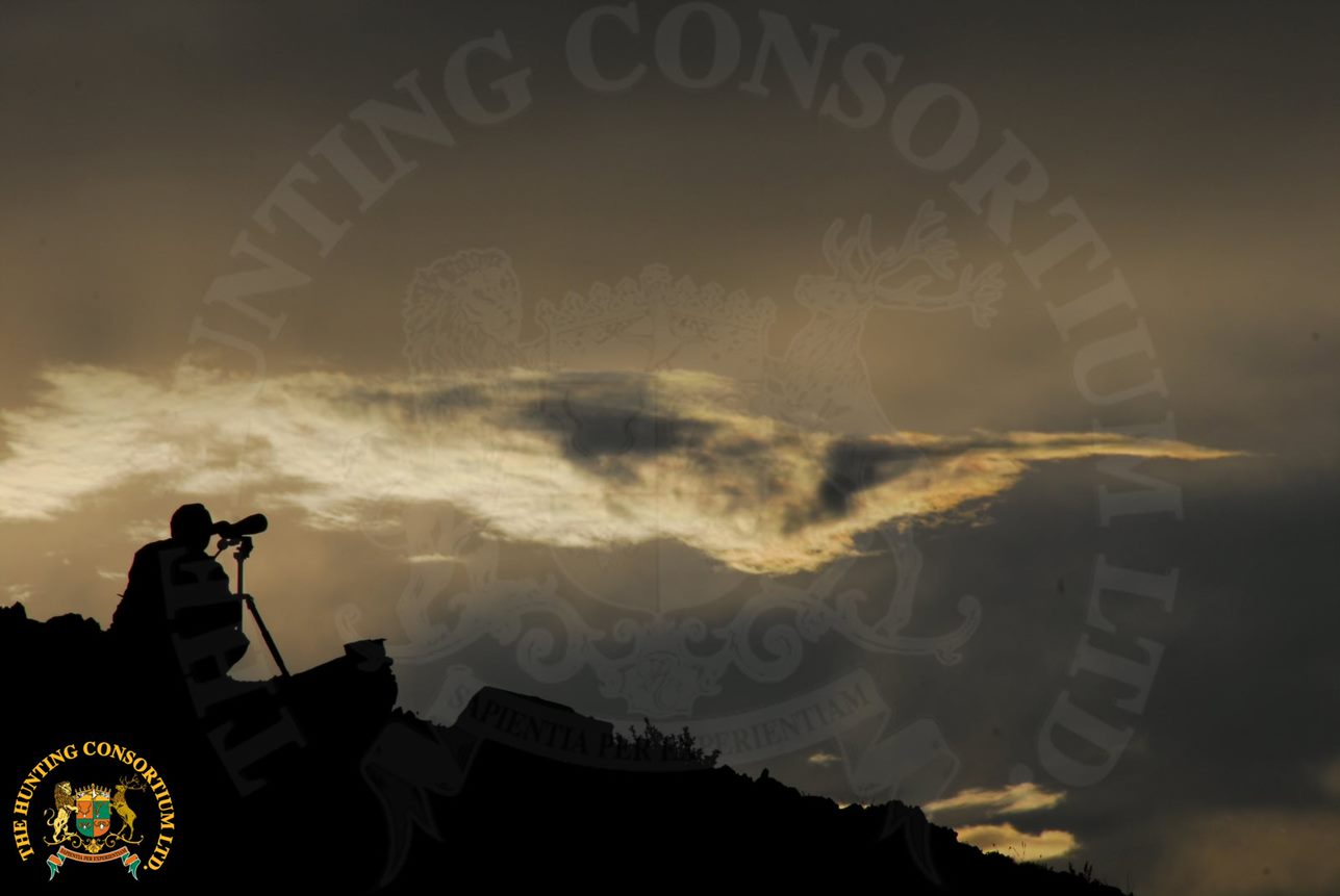 Glassing for Sheep while Hunting in Asia during Asian hunts for argali hunting in Mongolia with Hunting Consortium