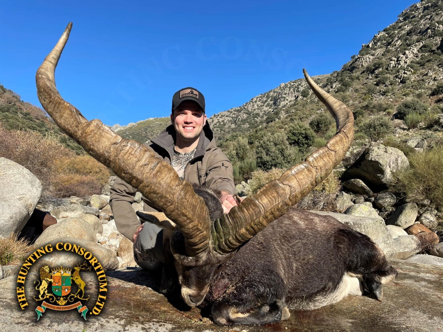 Gredos Ibex Hunting in Spain